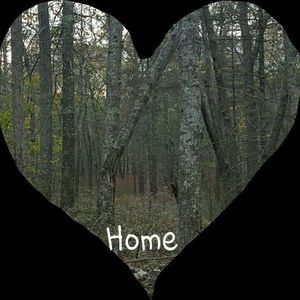 Meet your Posher, Suzi